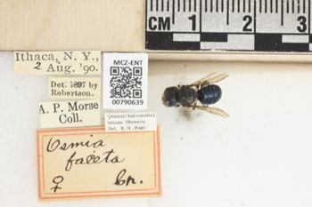Media type: image;   Entomology 790639 Aspect: Labels